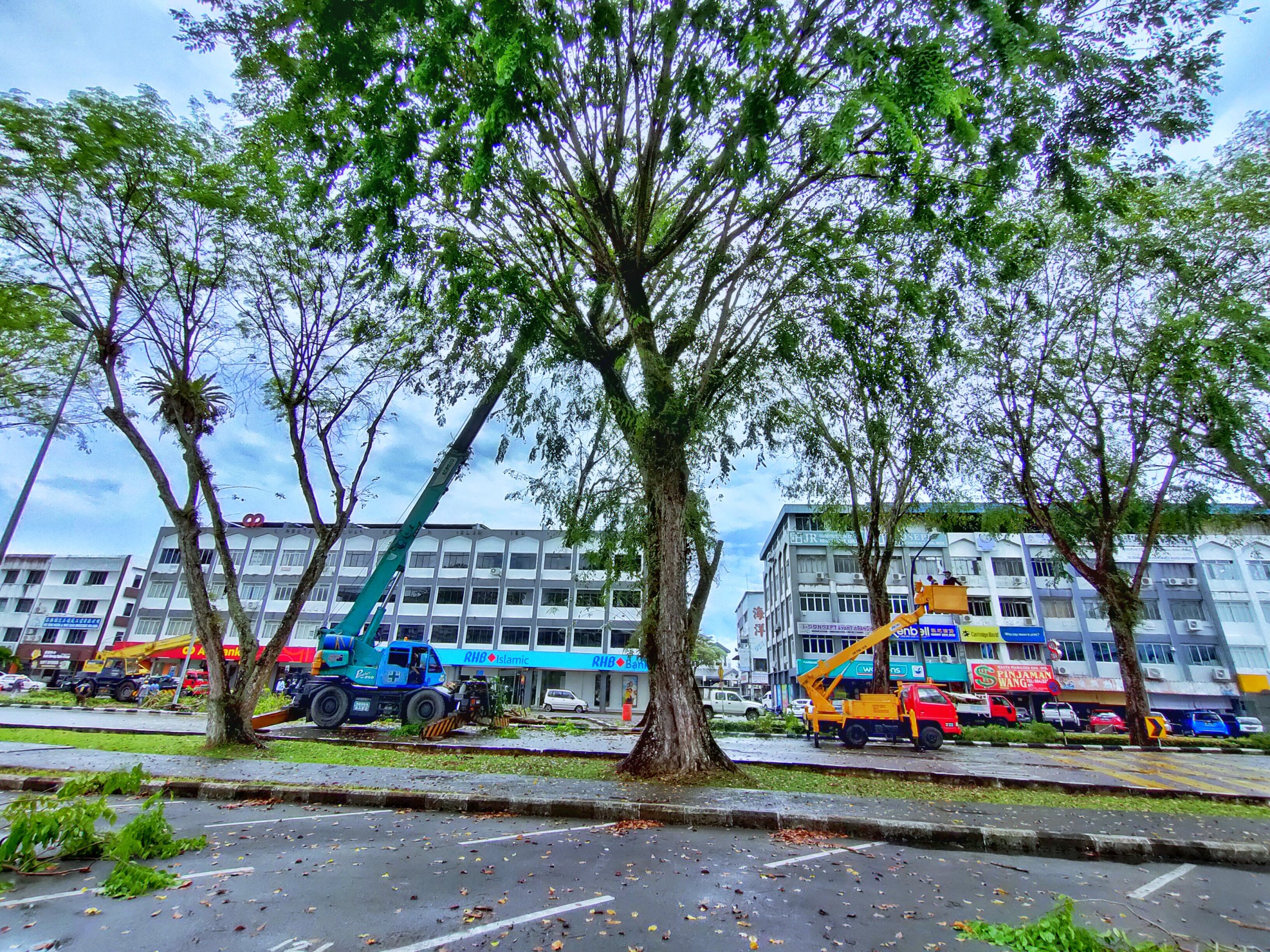 Photo taken on March 20, 2021, showing tree trimming works in progress along Jalan Tuanku Osman, Sibu. – Photo by Peter Boon