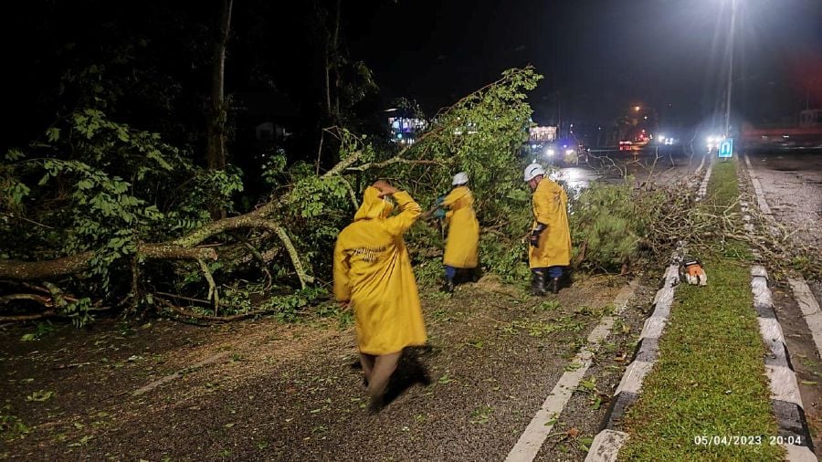 Sibu Municipal Council chairman Clarence Ting Ing Horh, in his Facebook posting, said that Jalan Merdeka Barat resembled a war zone with trees breaching fences of houses. - Pic credit Facebook Clarence Ting