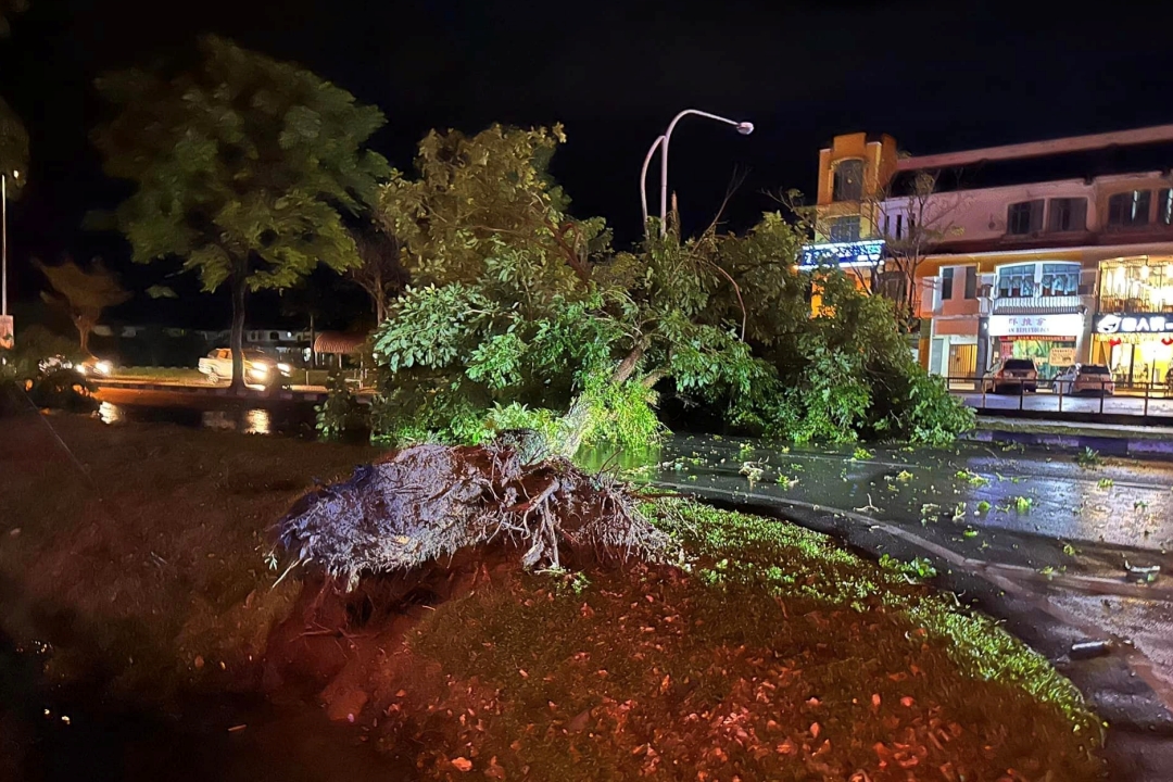 An uprooted tree at Jalan Dr Wong Soon Kai. – Photo via Facebook/Clarence Ting
